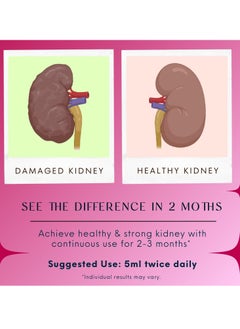 BLISS OF EARTH Bliss of Earth Kidney Detox Supplement For Kidney Stone Sugar Free Herbal Cleanse Prevents Kidney Stones Dissolves Early Stage Kidney Stones 200ml  - Image 4
