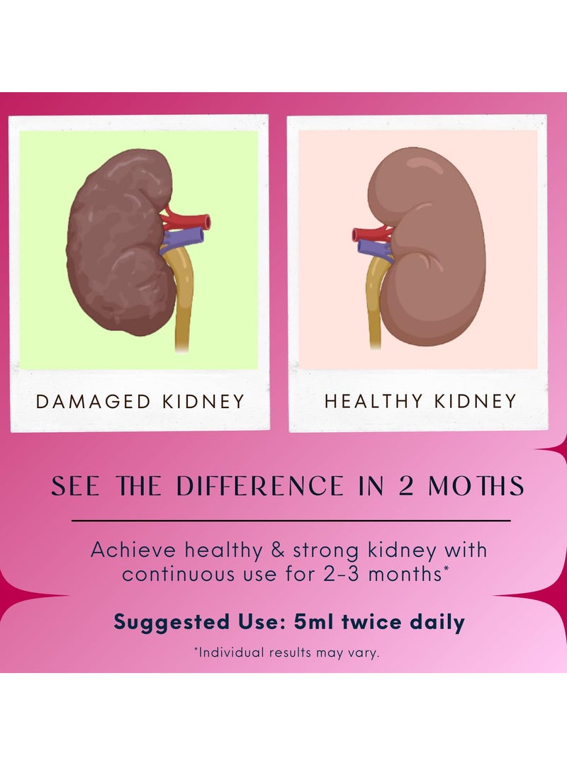 BLISS OF EARTH Bliss of Earth Kidney Detox Supplement For Kidney Stone Sugar Free Herbal Cleanse Prevents Kidney Stones Dissolves Early Stage Kidney Stones 200ml  - Image 4