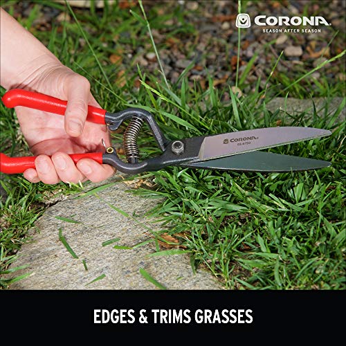 Corona GS 6750D ClassicCUT Grass Shear, Natural, 4 1/2 in - Image 4
