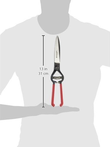 Corona GS 6750D ClassicCUT Grass Shear, Natural, 4 1/2 in - Image 3