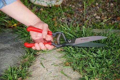 Corona GS 6750D ClassicCUT Grass Shear, Natural, 4 1/2 in - Image 2