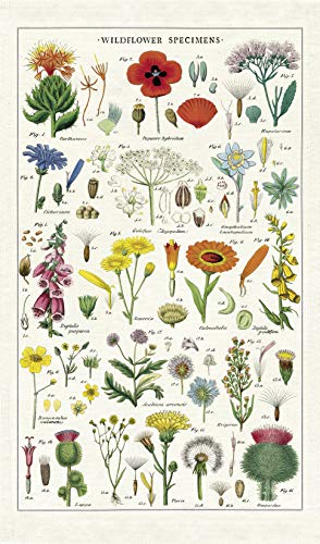 CAVANILLI & CO. Cavallini Papers & Co. Wildflowers Tea Towel, Multicolor - Image 2
