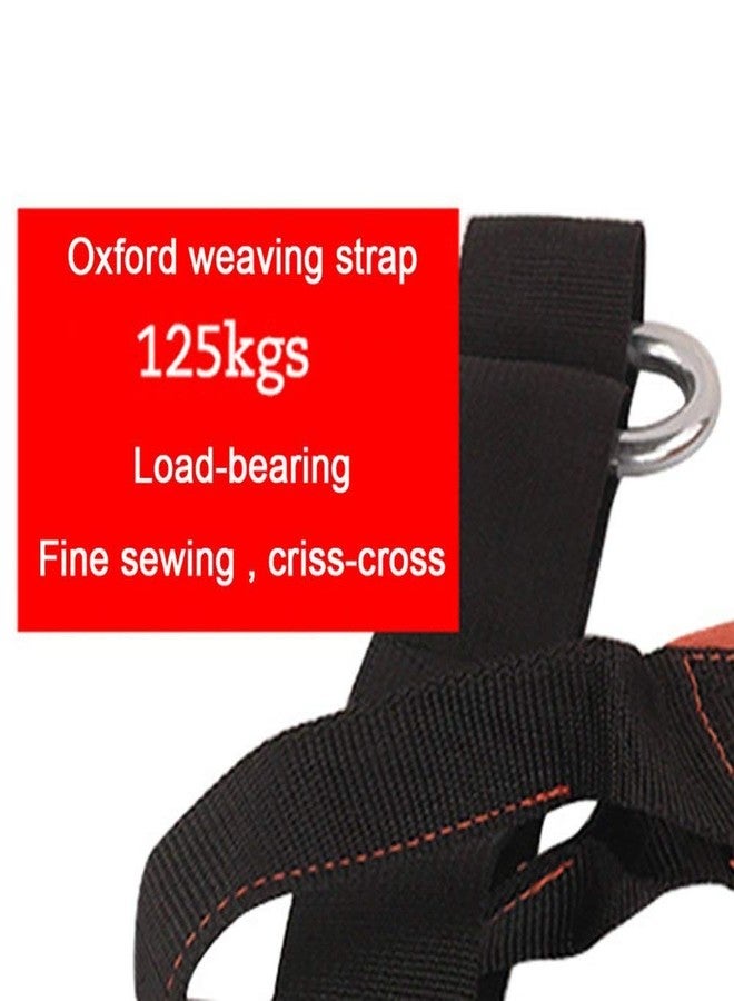 JERN AB Straps Arms Hanging Pull Up Belt Crunch Sling Abdominal Slings Workout Adjustable for Home Gym Use (Black) - Image 4