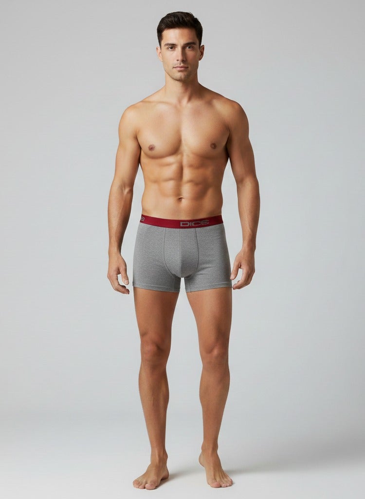 DICE Men's 4-Pack Boxer Briefs Multipack, Comfortable Underwear Set, Elastic Waistband - Image 5