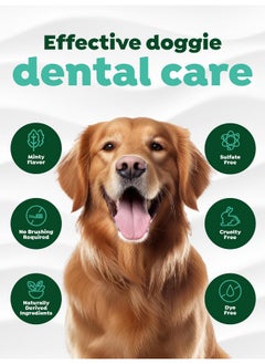 Clean Teeth Gel For Dogs | Dog Dental Care | Dog Toothpaste | Breath Freshener | Easy Teeth Cleaning | Made In The Usa | 2 Oz. - pzsku/Z3964CA22673BD1E79AC5Z/45/_/1726220852/f03fa628-ec08-488c-9dcb-9f40c4ebbd4c