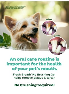 Clean Teeth Gel For Dogs | Dog Dental Care | Dog Toothpaste | Breath Freshener | Easy Teeth Cleaning | Made In The Usa | 2 Oz. - pzsku/Z3964CA22673BD1E79AC5Z/45/_/1726220868/91d2def2-c65b-4ee2-acec-cd4be27965ac