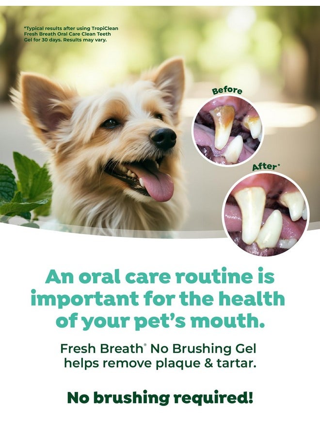 TropiClean Clean Teeth Gel For Dogs | Dog Dental Care | Dog Toothpaste | Breath Freshener | Easy Teeth Cleaning | Made In The Usa | 2 Oz.  - Image 5