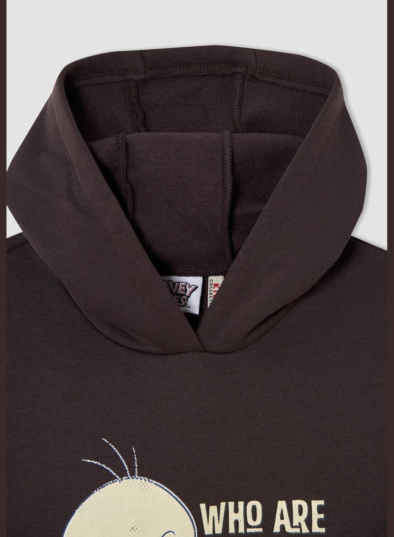 DeFacto Tweety License Hooded Sweat Shirt  - Image 2