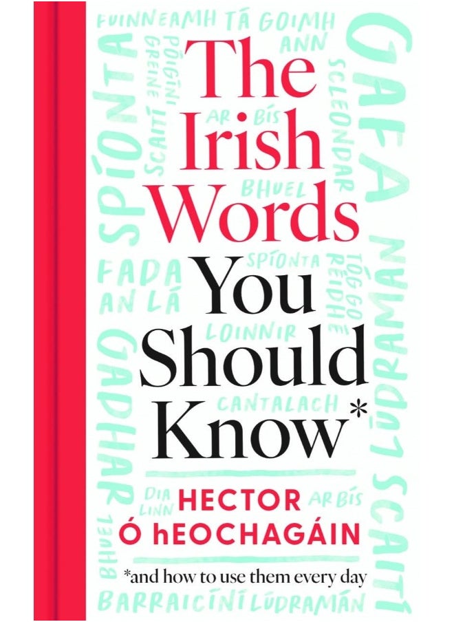 null - The Irish Words You Should Know: and how to use them every day - Image 1