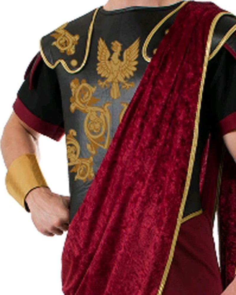 Rubies Julius Caesar Costume for Adults, Men's Standard - Image 3