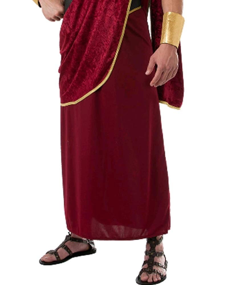 Rubies Julius Caesar Costume for Adults, Men's Standard - Image 4
