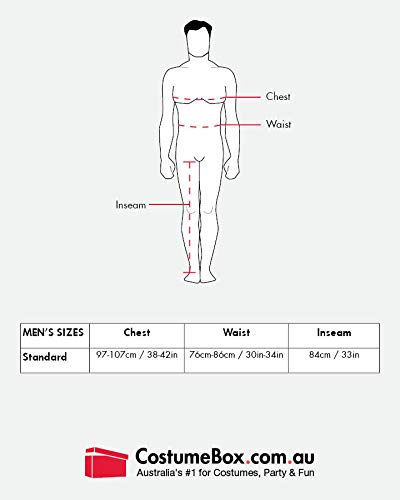 Rubies Julius Caesar Costume for Adults, Men's Standard - Image 2