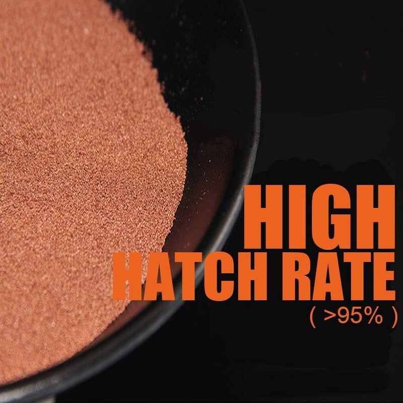 BNYEE Brine Shrimp Eggs for Aquatic Foods Baby & Fry Foods The Popular 90% Hatch GSL Brine Shrimp Eggs (9 OZ) - Image 2