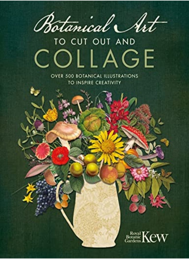 BOTANICAL ART TO CUT OUT & COLLAGE 