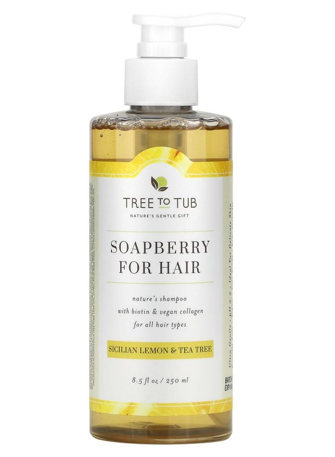 Tree to Tub Soapberry For Hair Shampoo For All Hair Types Sicilian Lemon & Tea Tree 8.5 fl oz (250 ml)