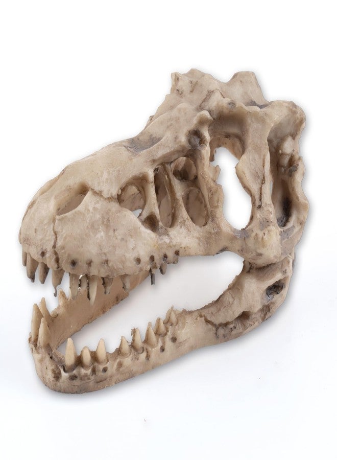 VibeNest Dinosaur Skull Aquarium Decoration - Natural Fish Tank Hideaway Cave, 6.3"x4"x4” Resin Ornament for Freshwater Tanks (6.3") - Image 1