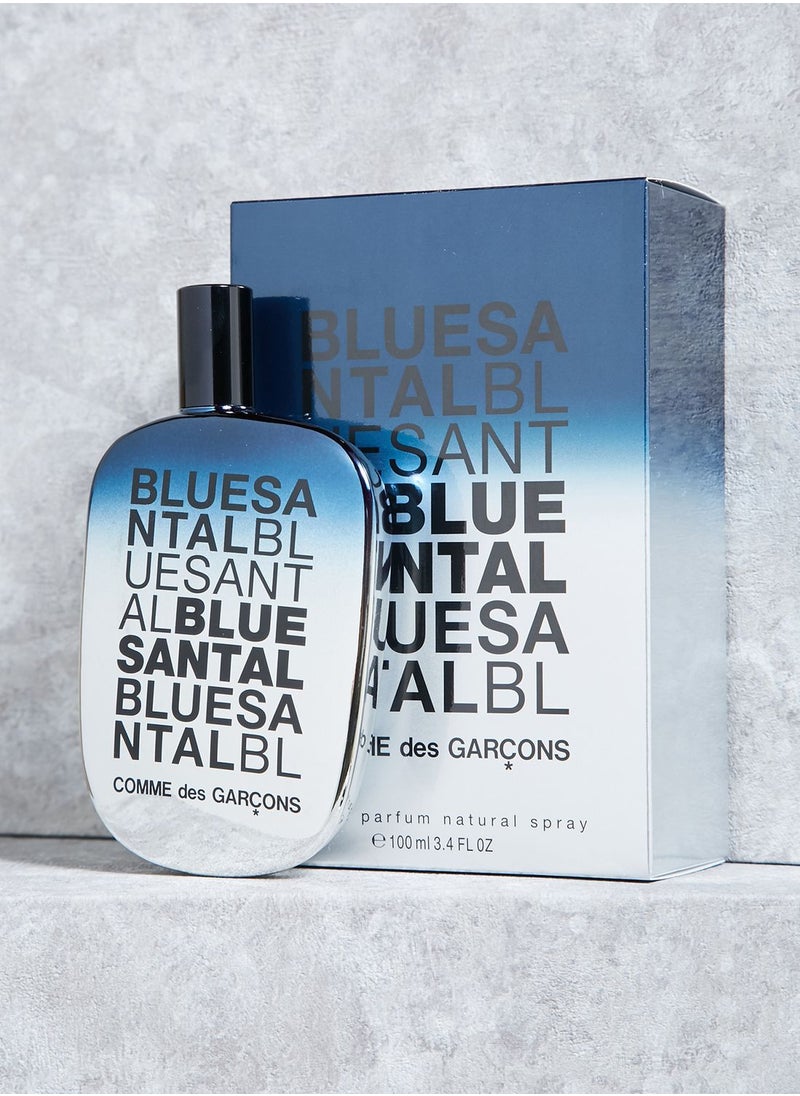 COMME DES GARCONS - Blue Santal 100Ml Edt - Image 1