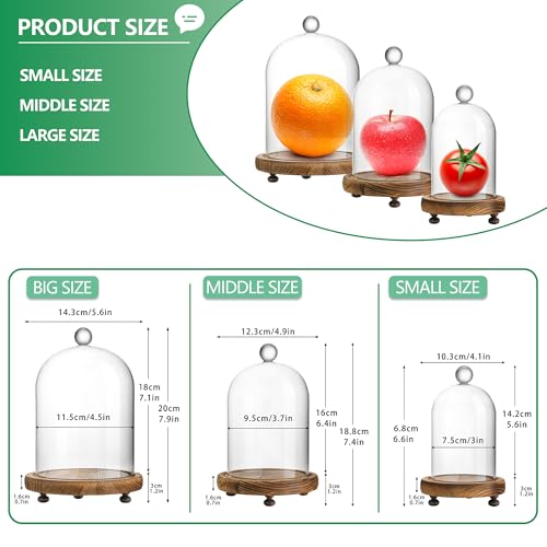ZEERSHEE Set of 3 Glass Bell Shape Dome with Wooden Base(4.5''/3.7''/3''), Clear Decorative Glass Dustproof Dome with Handle for Home Party Wedding Decor - Image 3