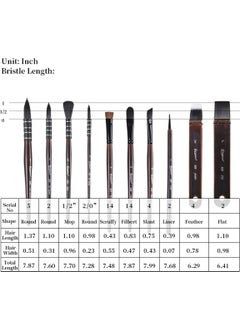 Vox Art Squirrel Bristle Artist Brush Set of 10 Brushes + Carrying Bag Gift  - Image 3