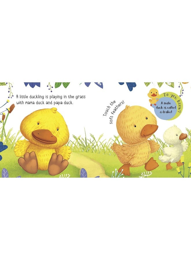 Baby animals: Touch and Feel series - Image 4