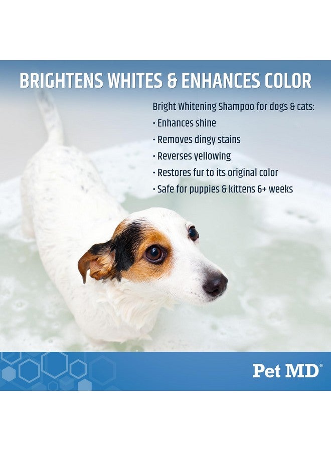 بيت إم دي شامبو تبييض الشعر اللامع من Pet MD للكلاب والقطط - شامبو غني بالبروتين بدون دموع مع دقيق الشوفان لتفتيح الشعر الأبيض والفاتح - ينظف ويضيف لمعانًا ويتحكم في التشابك والتكتل - 12 أونصة - Image 2