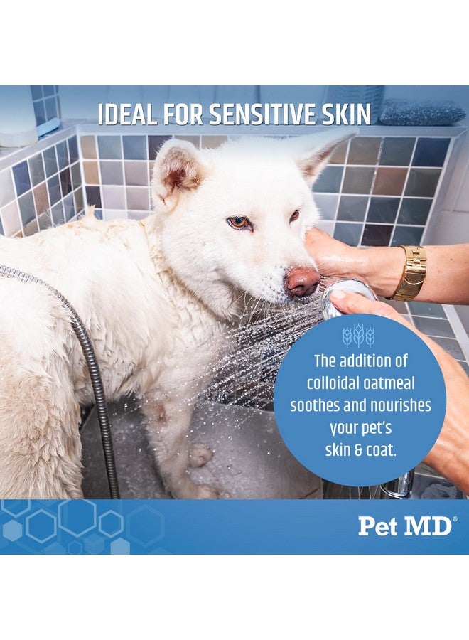 بيت إم دي شامبو تبييض الشعر اللامع من Pet MD للكلاب والقطط - شامبو غني بالبروتين بدون دموع مع دقيق الشوفان لتفتيح الشعر الأبيض والفاتح - ينظف ويضيف لمعانًا ويتحكم في التشابك والتكتل - 12 أونصة - Image 4