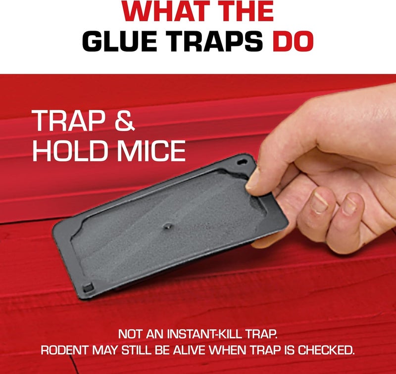 TOMCAT Glue Traps Mouse Size with Eugenol for Enhanced Stickiness for Mice, Cockroaches, and Spiders, 6 Traps - Image 5