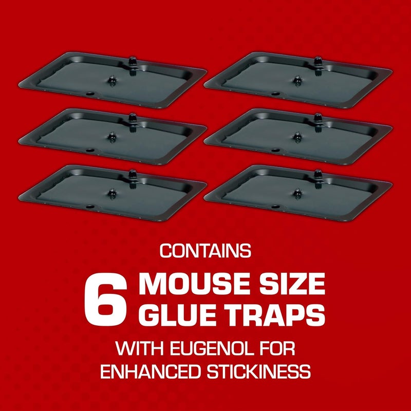 TOMCAT Glue Traps Mouse Size with Eugenol for Enhanced Stickiness for Mice, Cockroaches, and Spiders, 6 Traps - Image 1