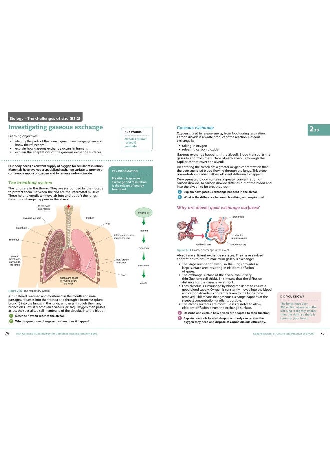 Collins OCR Gateway GCSE Biology for Combined Science 9-1 Student Book