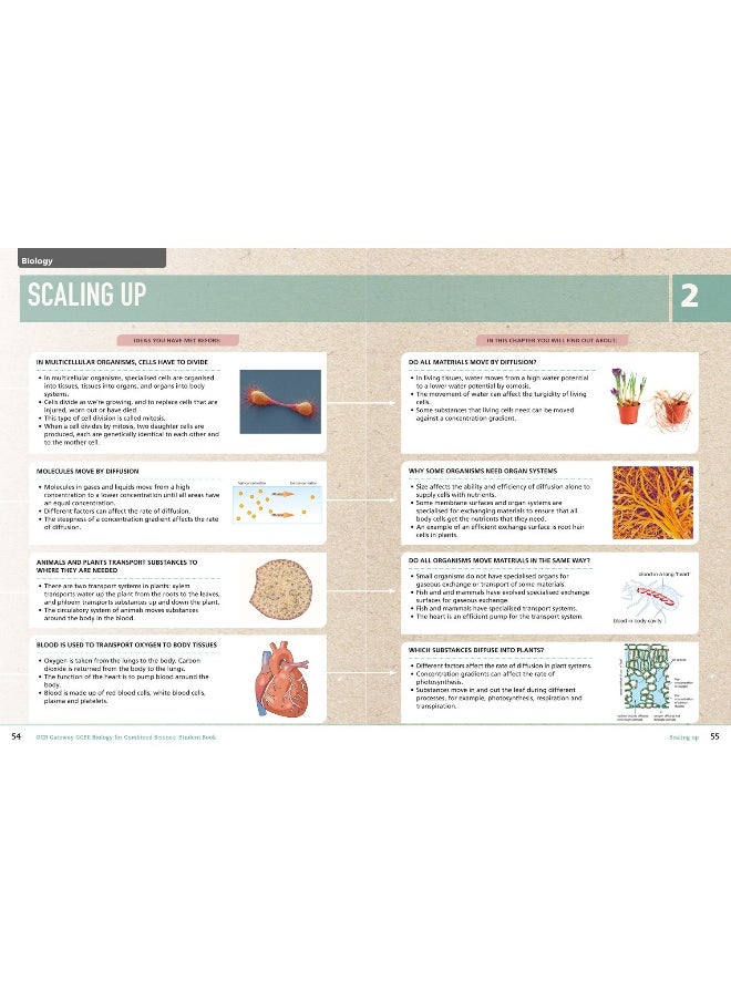 Collins OCR Gateway GCSE Biology for Combined Science 9-1 Student Book