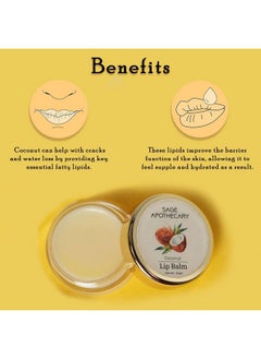 Sage Apothecary Sage Apothecary Super Soft Natural Coconut Lip Balm to Protect & Heal Lips | Lighten and Brighten Dark Lips| Heal Chapped Cracked Dry Lips | Active Nourishing Care | 24 Hour Intense Moisterization|Suitable for Men Women Girls Boys| Pack of 8GM  - Image 3