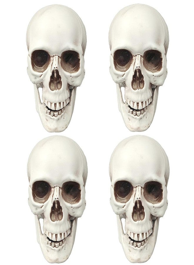 CUNHUYSmall Skulls Halloween Decor, 5 Inch Plastic Fake Skeletons, Mini Skulls for Crafts Outdoor Halloween Decorations, Realistic Miniature Human Skull Heads (4) - Image 1