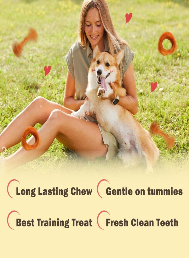 VITADAY All Natural Turkey Tendon Dog Treats Bone (S) 10 Pcs Value Pack - Image 3