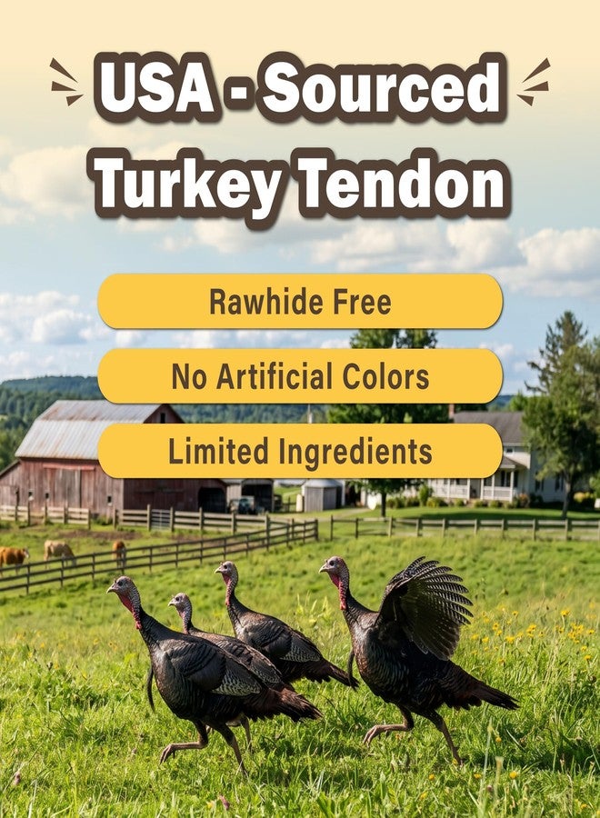 VITADAY All Natural Turkey Tendon Dog Treats Bone (S) 10 Pcs Value Pack - Image 4