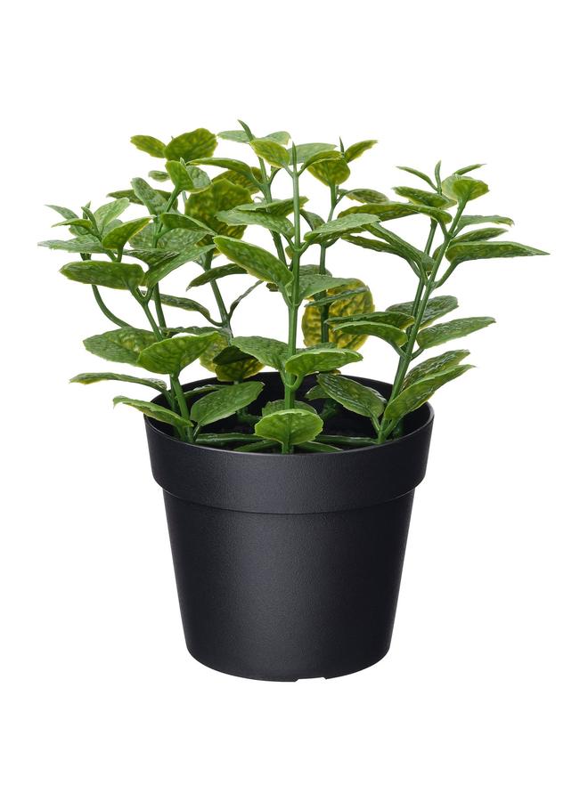 erorex Artificial Potted Plant, In/Outdoor Mint, 9 Cm - Image 1