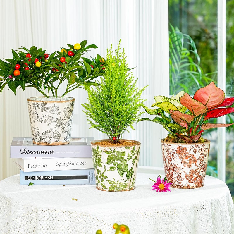 Sungmor Vintage Ceramic Planter Set of 3 - Decorative Indoor & Outdoor Flower Pots with Drainage Holes - Tuscan DÃ©cor Pots, 5.5" Ice Crackle Glaze Planters for Home, Kitchen, Patio, and Garden - Image 2
