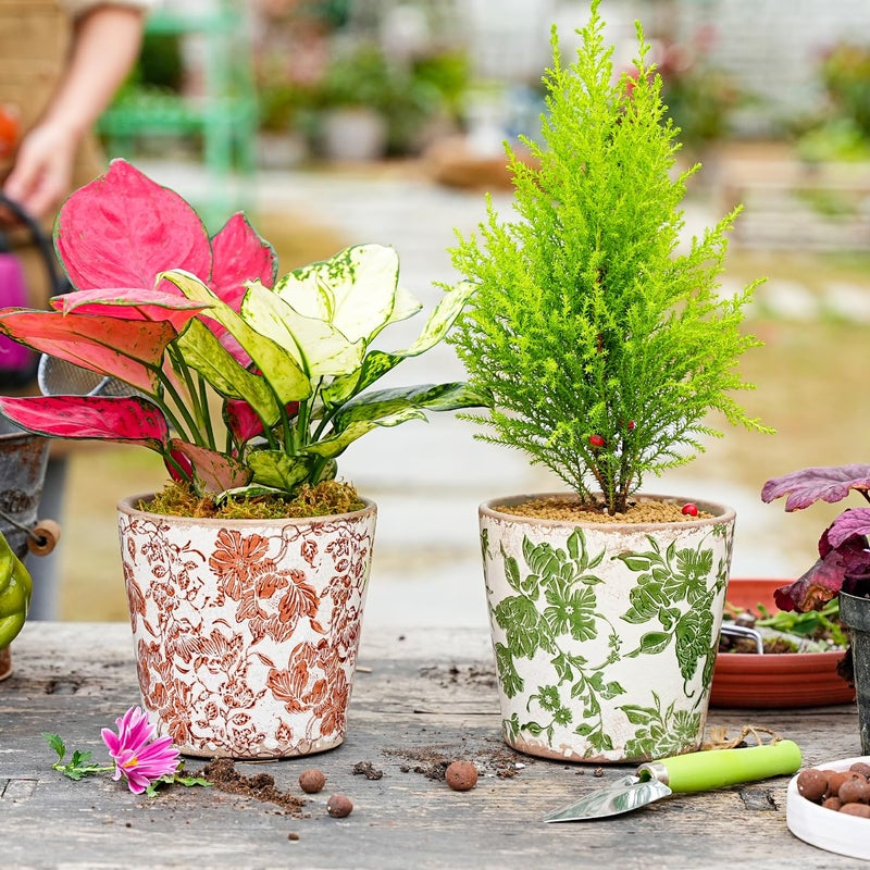 Sungmor Vintage Ceramic Planter Set of 3 - Decorative Indoor & Outdoor Flower Pots with Drainage Holes - Tuscan DÃ©cor Pots, 5.5" Ice Crackle Glaze Planters for Home, Kitchen, Patio, and Garden - Image 4