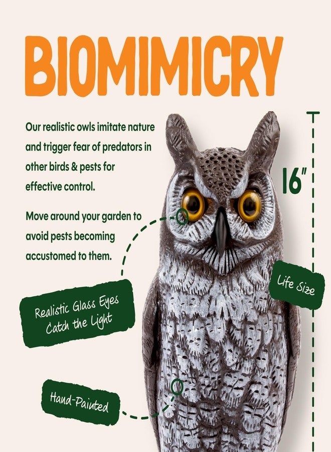 Dalen Fake Owl Decoy to Scare Birds Away from Gardens, Rooftops, and Patios - Scarecrow Provides Natural Pest Control - Safe and Humane, 16" Two Color Great Horned Owl - Image 4