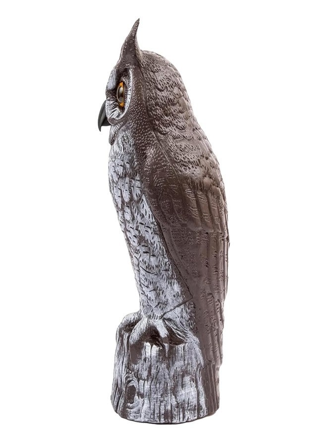 Dalen Fake Owl Decoy to Scare Birds Away from Gardens, Rooftops, and Patios - Scarecrow Provides Natural Pest Control - Safe and Humane, 16" Two Color Great Horned Owl - Image 2