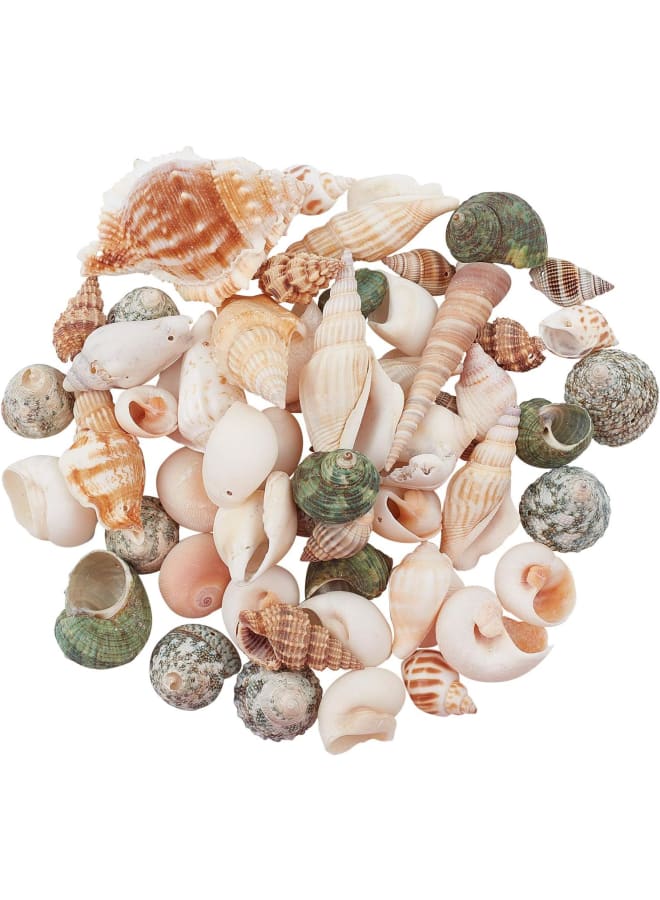 300g Natural Spiral Shell Pendants Ocean Beach Seashells Charms Beads for Jewelry Making, Candle Making, Home Decorations, Party Wedding Decor, DIY Crafts, Fish Tank and Vase Fillers  - Image 1