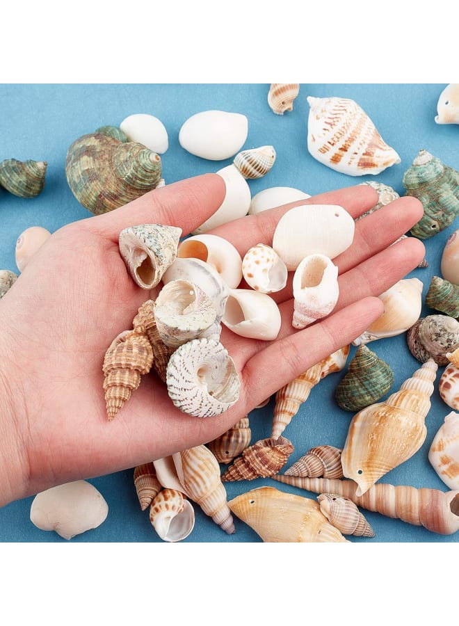300g Natural Spiral Shell Pendants Ocean Beach Seashells Charms Beads for Jewelry Making, Candle Making, Home Decorations, Party Wedding Decor, DIY Crafts, Fish Tank and Vase Fillers  - Image 3