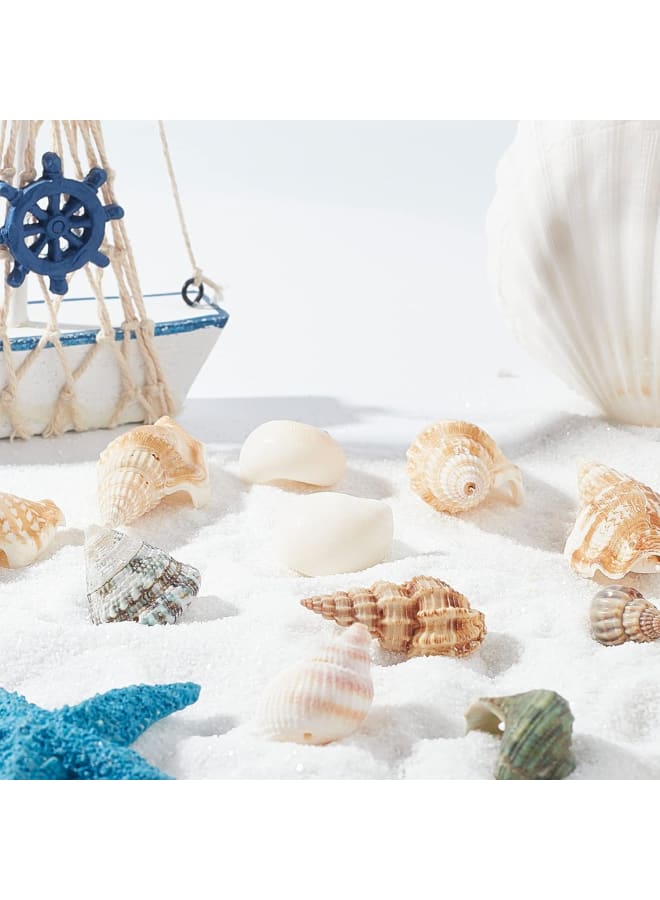 300g Natural Spiral Shell Pendants Ocean Beach Seashells Charms Beads for Jewelry Making, Candle Making, Home Decorations, Party Wedding Decor, DIY Crafts, Fish Tank and Vase Fillers  - Image 4