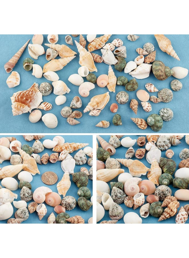 300g Natural Spiral Shell Pendants Ocean Beach Seashells Charms Beads for Jewelry Making, Candle Making, Home Decorations, Party Wedding Decor, DIY Crafts, Fish Tank and Vase Fillers  - Image 2