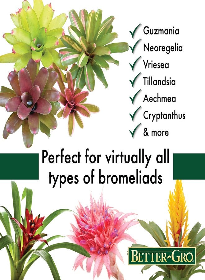 BETTER GRO Bromeliad Blend 8 Quart - Image 2