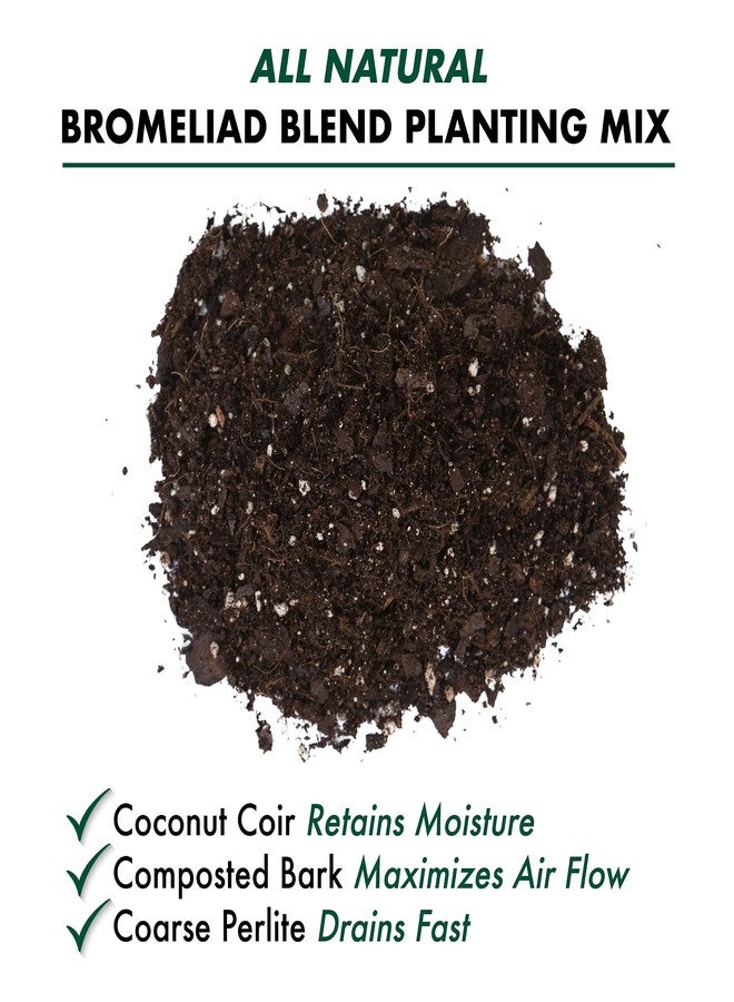 BETTER GRO Bromeliad Blend 8 Quart - Image 5
