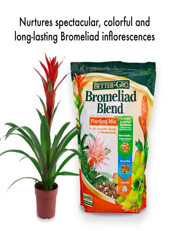 BETTER GRO Bromeliad Blend 8 Quart - Image 3