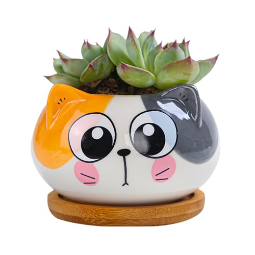 Cuteforyou Succulent Pots,Cute Animal Shaped Cartoon Ceramic Succulent Cactus Flower Planters -Plant Not Included (Cat) - Image 1