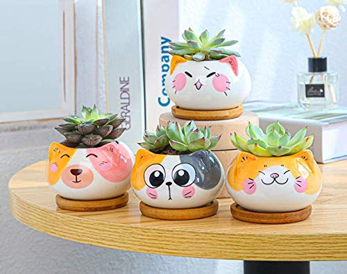 Cuteforyou Succulent Pots,Cute Animal Shaped Cartoon Ceramic Succulent Cactus Flower Planters -Plant Not Included (Cat) - Image 5