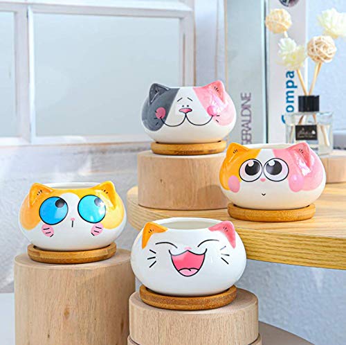 Cuteforyou Succulent Pots,Cute Animal Shaped Cartoon Ceramic Succulent Cactus Flower Planters -Plant Not Included (Cat) - Image 4