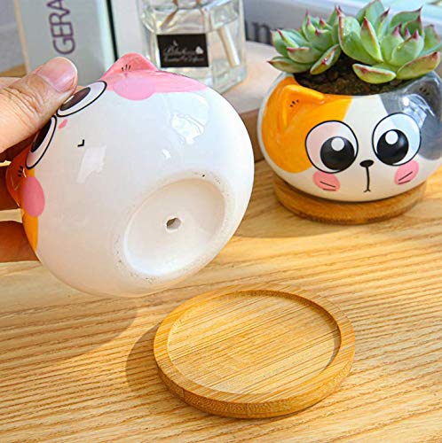 Cuteforyou Succulent Pots,Cute Animal Shaped Cartoon Ceramic Succulent Cactus Flower Planters -Plant Not Included (Cat) - Image 2